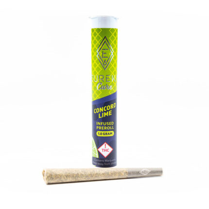 Eureka fusion cone concord lime 1g