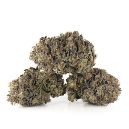 Fatso by Pluto Craft Cannabis