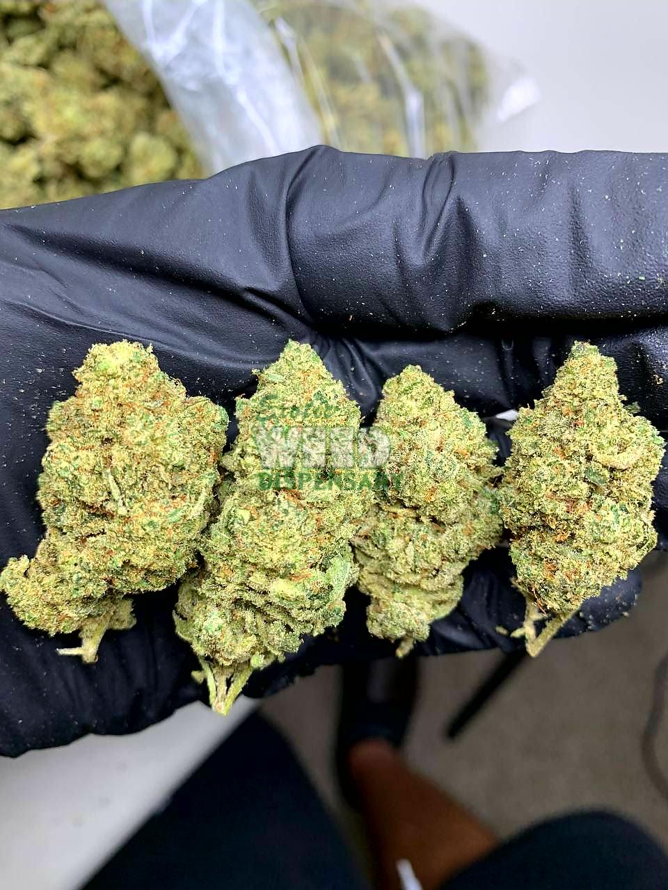 Green-crack.jpg