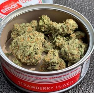 Strawberry Punch SmartBud