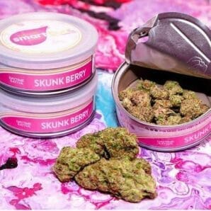 Skunk Berry SmartBud