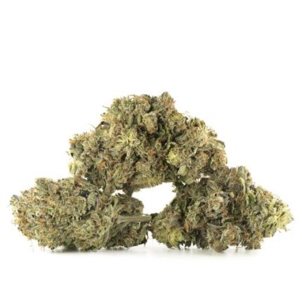 Island Pink Kush Strain