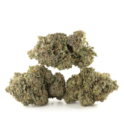 Jelly Donut Strain