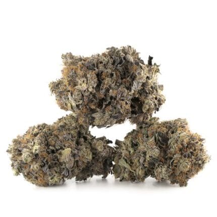 Northern Lights Strain