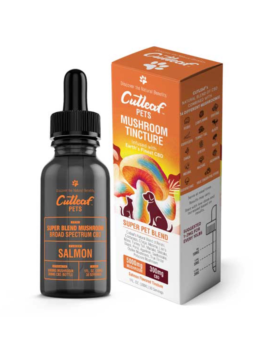 Salmon-Cutleaf-Pet-Mushroom-CBD-Tinctures.webp