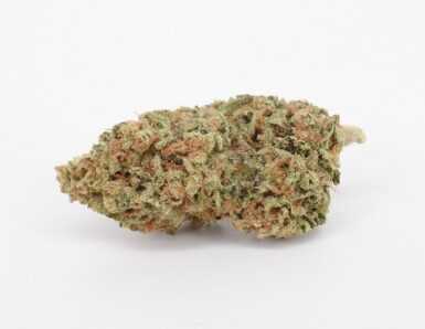 THC Bomb Strain