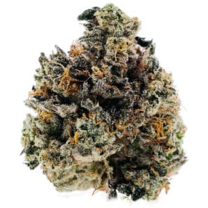 Ghost OG Strain