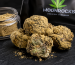 Moonrock Weeds